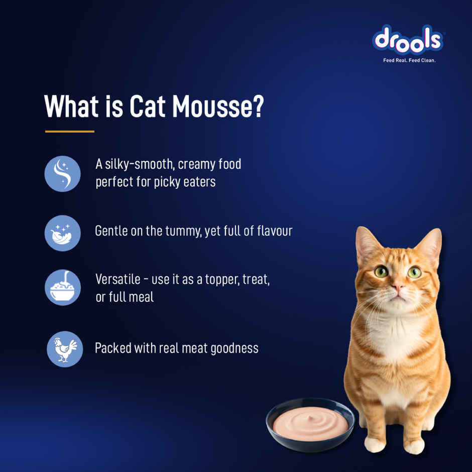 Drools Ocean Fish Mousse Adult Cat Wet Food, 80g (4+1 Free Pack)