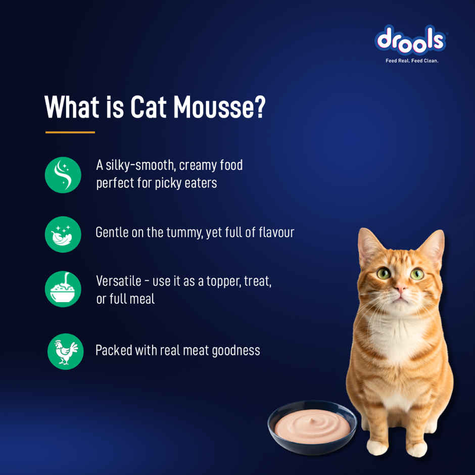 Drools Tuna Mousse Adult Cat Wet Food 80gm