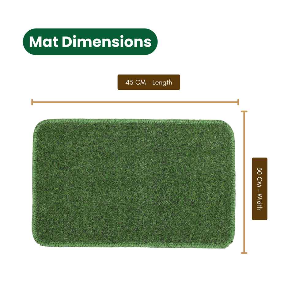 Status Artificial Grass Door Mat | 12 x 18 Inch