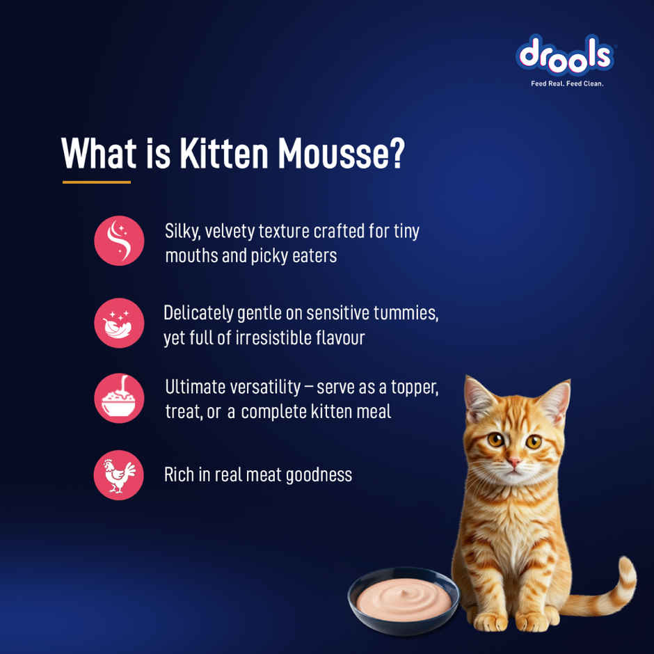 Drools Salmon Mousse Kitten Wet Cat Food, 80g (4+1 Pack Free)