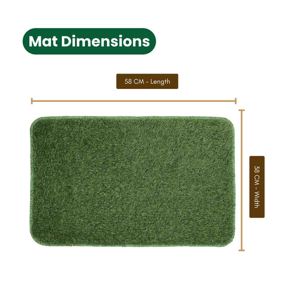 PVC Door Mat | Green | 15 x 23 inch | Reusable