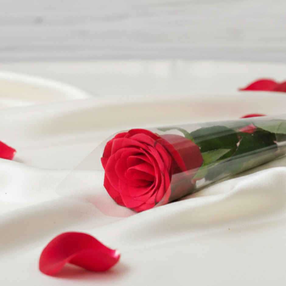 Single Red Rose