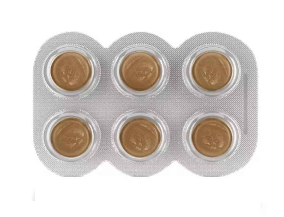 Himalaya Koflet H Cough Orange Lozenges