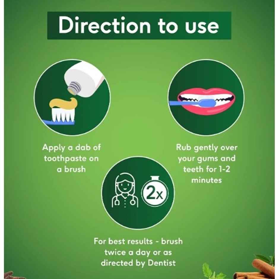 Sri Sri Tattva Sudanta paste Tooth Paste 50g