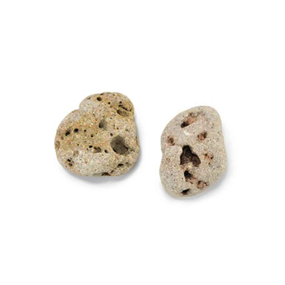 Pujashree Hag Stone for Harmony between spouses | Sacred and Rare | Enhances Spiritual Connection