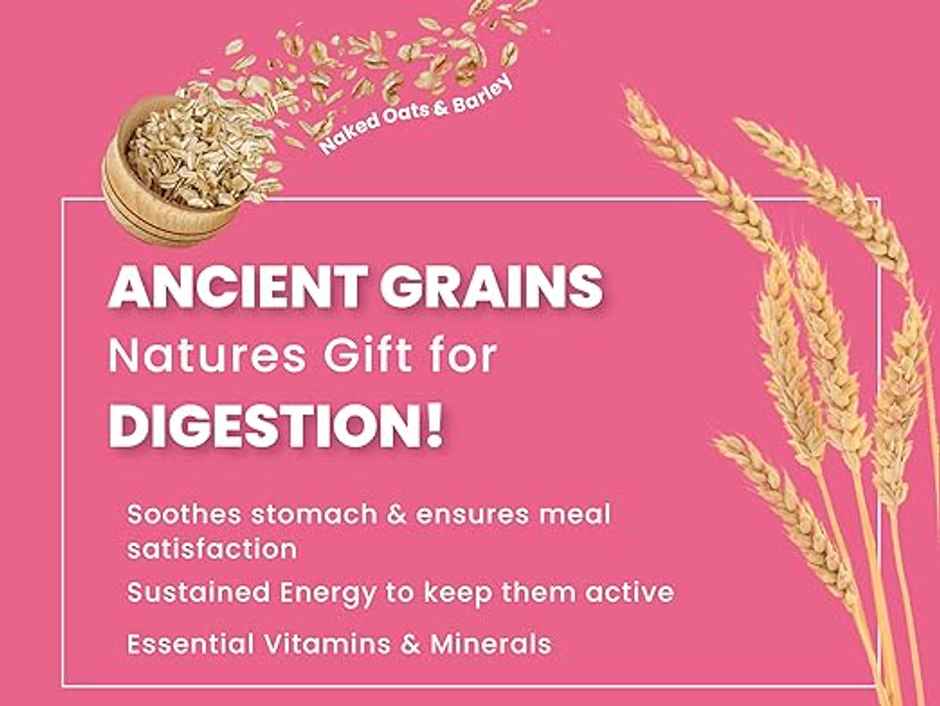 Bark Out Loud Chicken & Ancient Grains Dog FOOD | Medium Large Breed