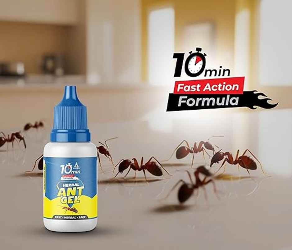 Amish A Herbal Ant Gel Pack Of 4 | 10 Minutes Result Guarantee | 100% Organic & Chemical Free