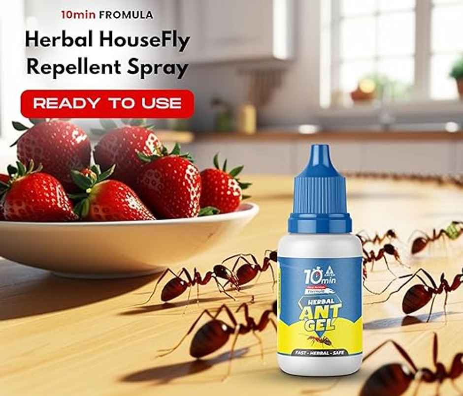 Amish A Herbal Ant Gel Pack Of 4 | 10 Minutes Result Guarantee | 100% Organic & Chemical Free