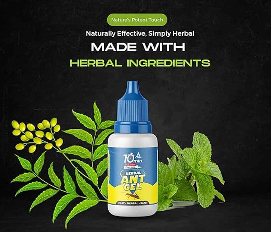 Amish A Herbal Ant Gel Pack Of 4 | 10 Minutes Result Guarantee | 100% Organic & Chemical Free