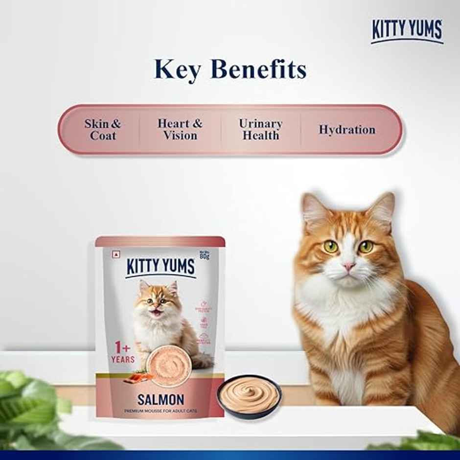 Kitty Yums Salmon Mousse Adult Cat Wet Food