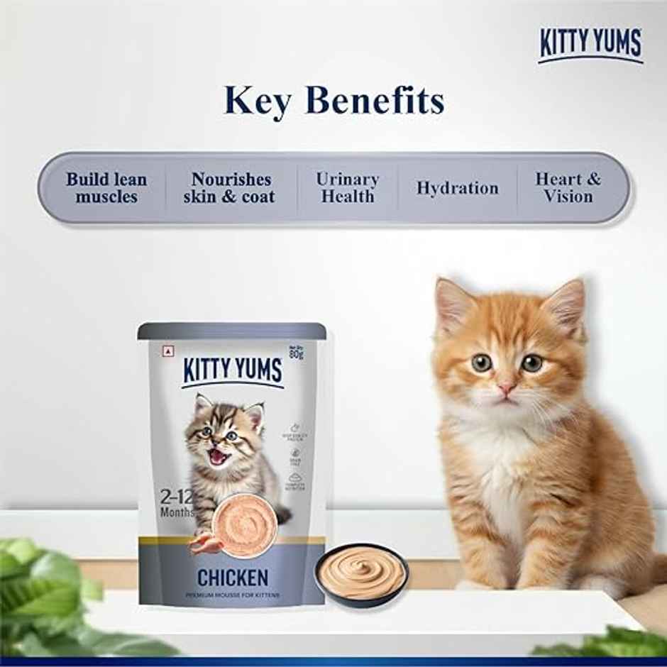Kitty Yums Chicken Mousse Kitten Wet Cat Food