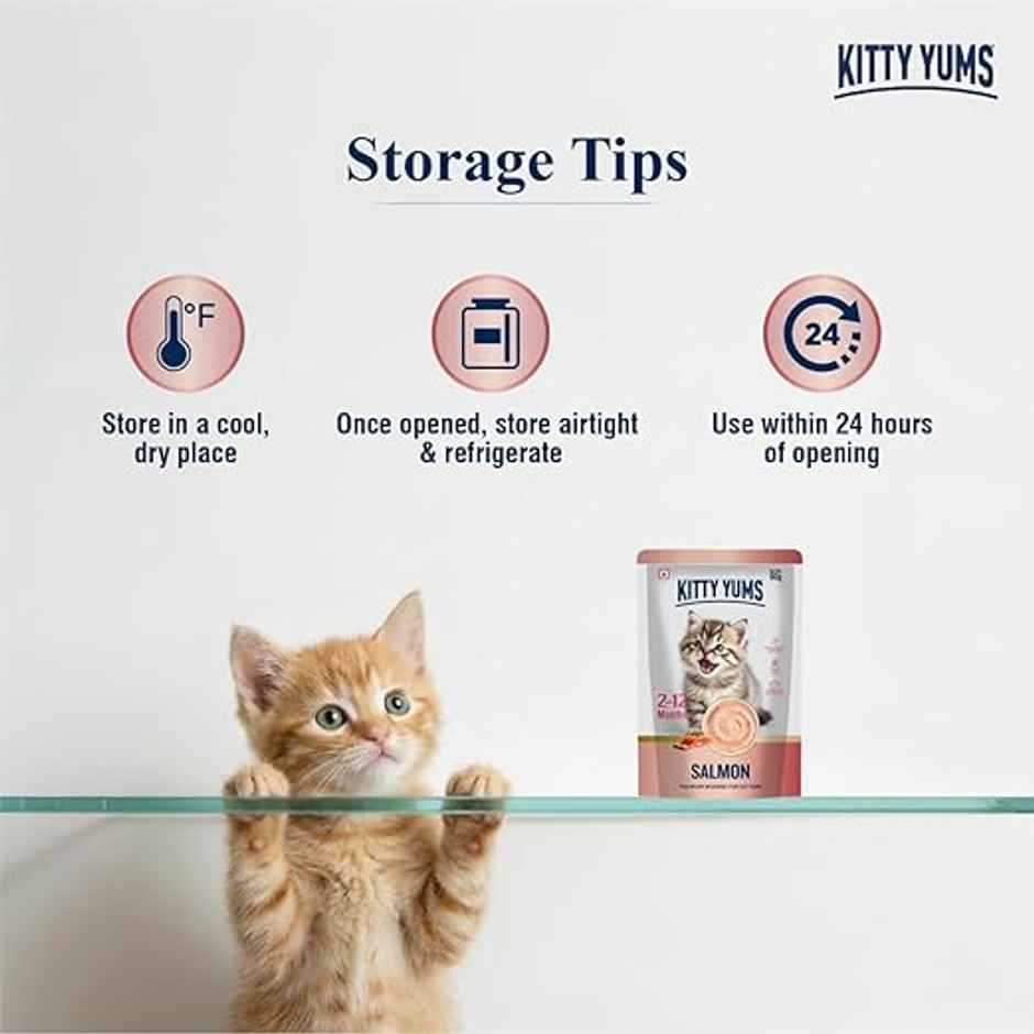 Kitty Yums Salmon Mousse Kitten Wet Cat Food
