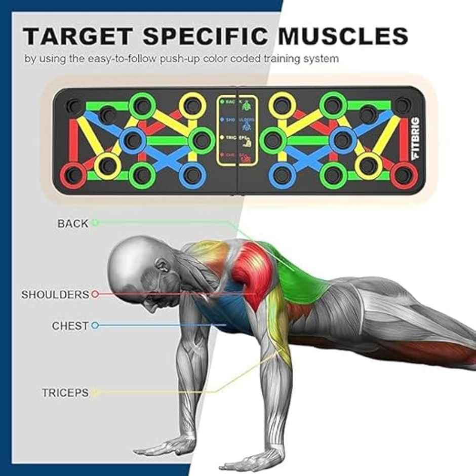 Mayor 15 in 1 Portable Push Up Board with Strong Grip for Home Gym Exercise | Multicolor