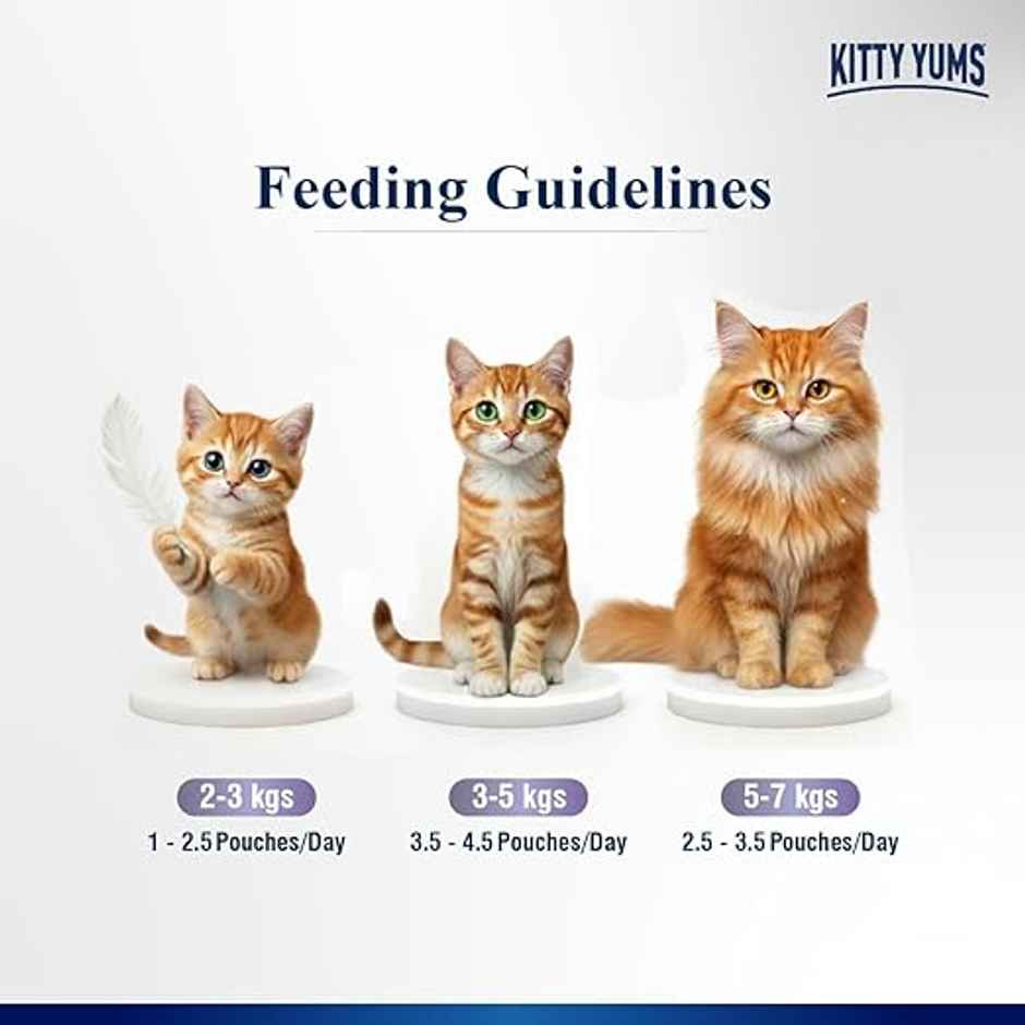 Kitty Yums Chicken Mousse Adult Cat Wet Food