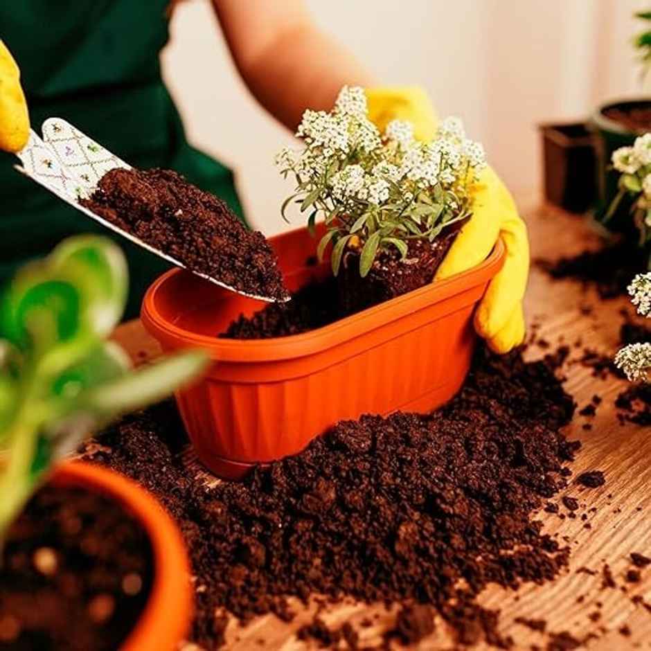 Gardens Coir Pure Red Soil For Plants | Home Gardening