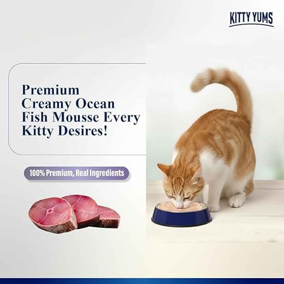 Kitty Yums Ocean Fish Mousse Adult Cat Wet Food