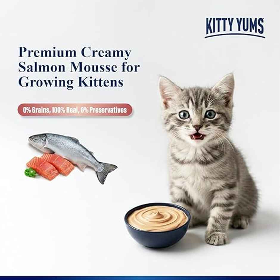 Kitty Yums Salmon Mousse Kitten Wet Cat Food