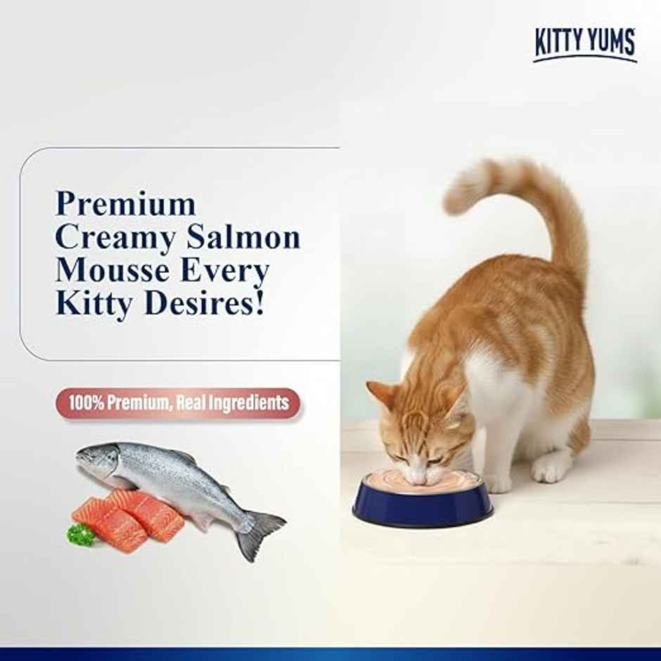Kitty Yums Salmon Mousse Adult Cat Wet Food