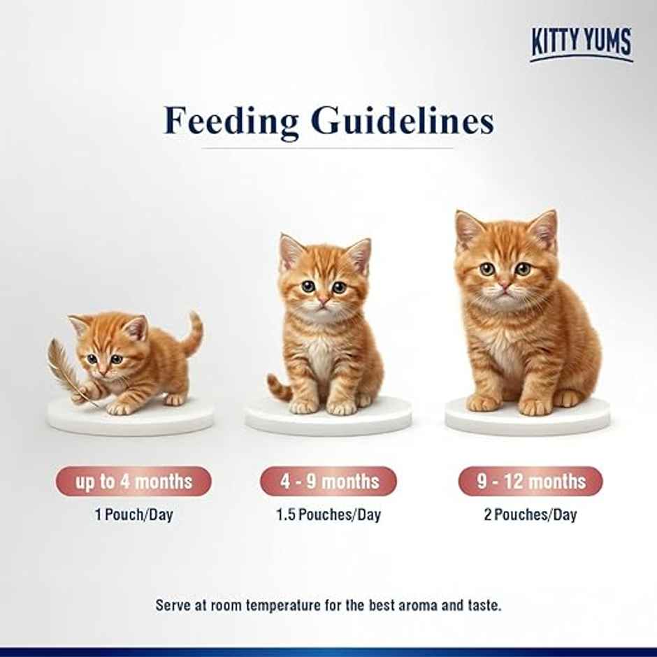 Kitty Yums Salmon Mousse Kitten Wet Cat Food