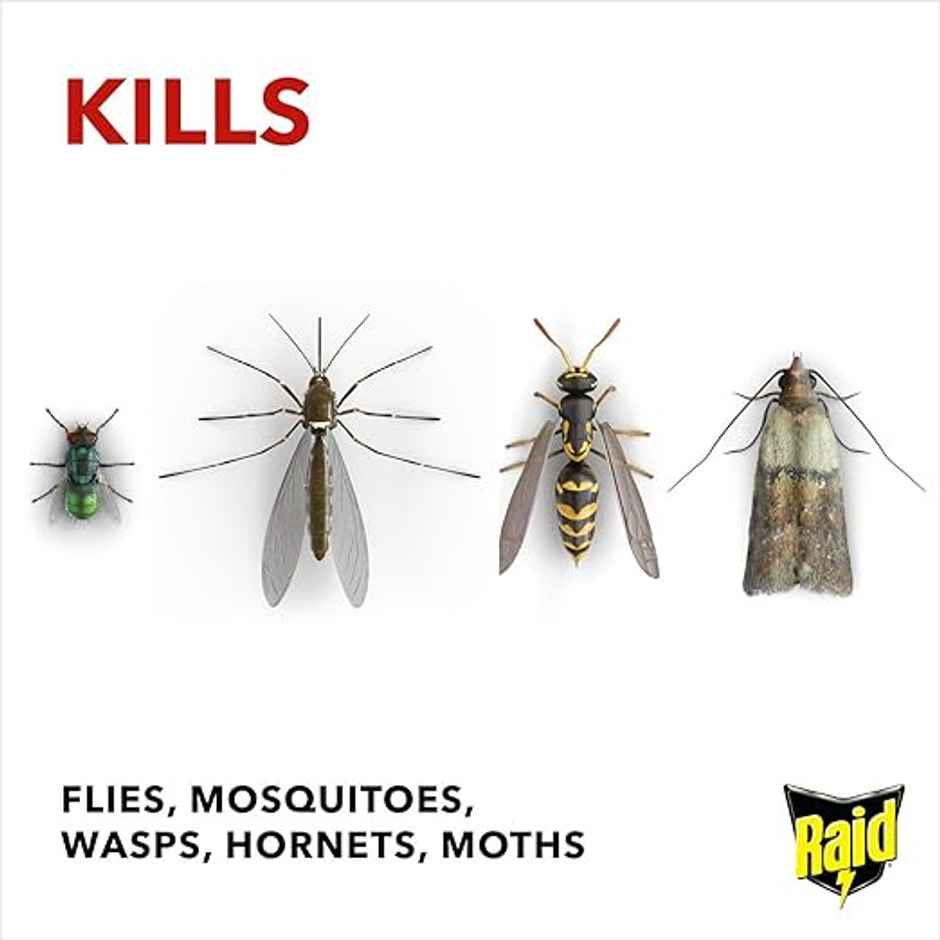 Raid Fly and Wasp Killer Spray
