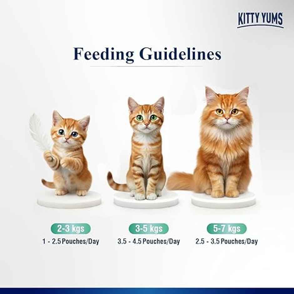 Kitty Yums Tuna Mousse Adult Cat Wet Food