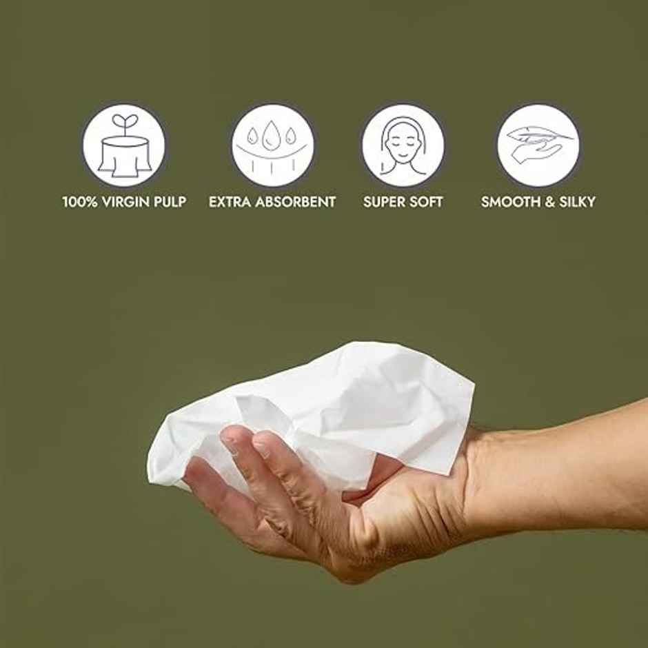 Ezee Facial Tissue Paper - 300 Pulls - Carbox - 2ply
