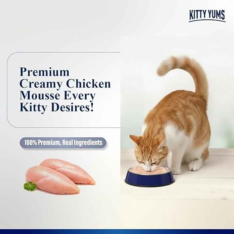 Kitty Yums Chicken Mousse Adult Cat Wet Food