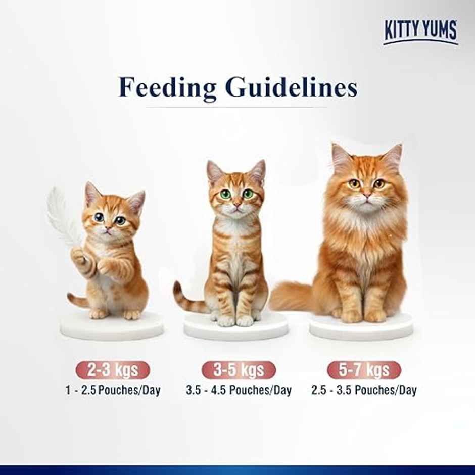 Kitty Yums Salmon Mousse Adult Cat Wet Food