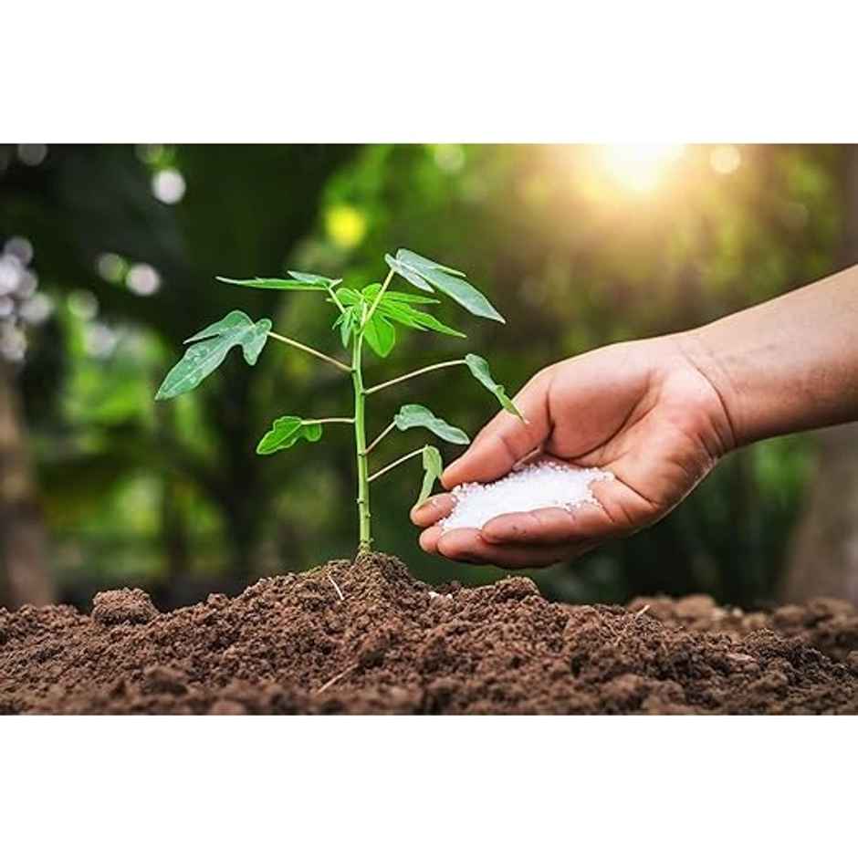 Gardens Coir Epsom Salt For Plants | Home Gardening