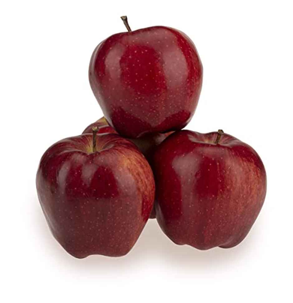 Apple Iran Red Delicious