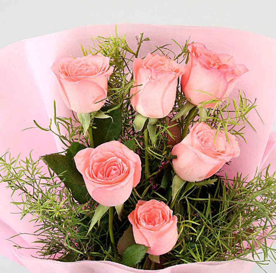 fnp Bunch of 6 Pink Roses