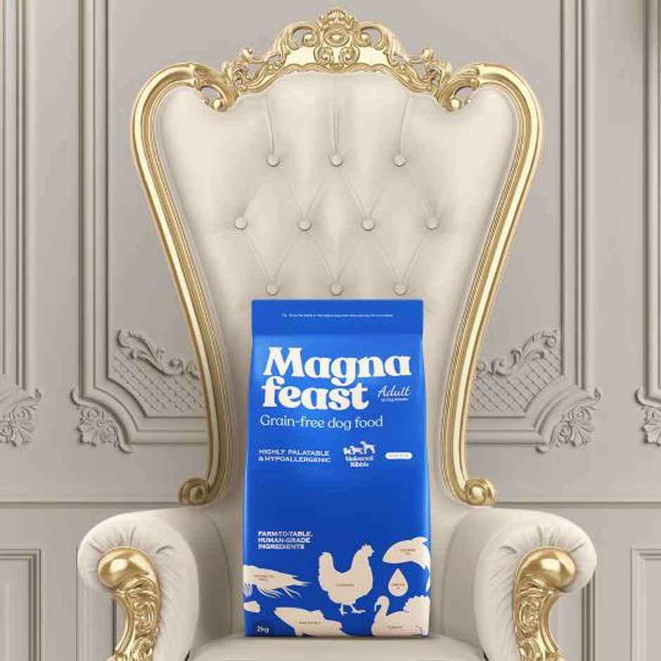 Magnafeast Adult Dog FOOD