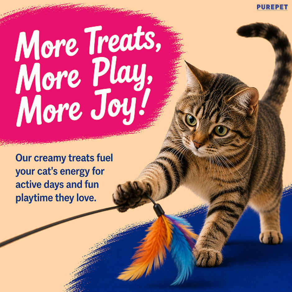 Purepet Tuna & Bonito Creamy Lickable Cat Treats