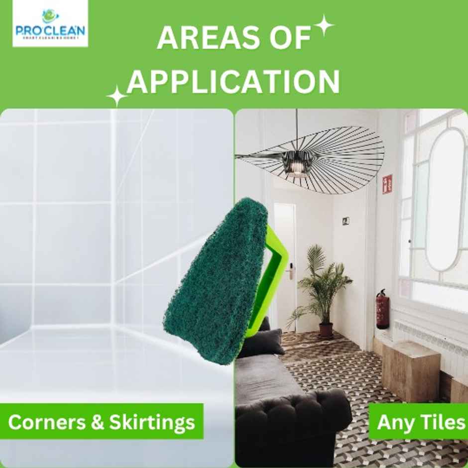 Proclean Scrubber Pad With Handle - Triangle | Assorted