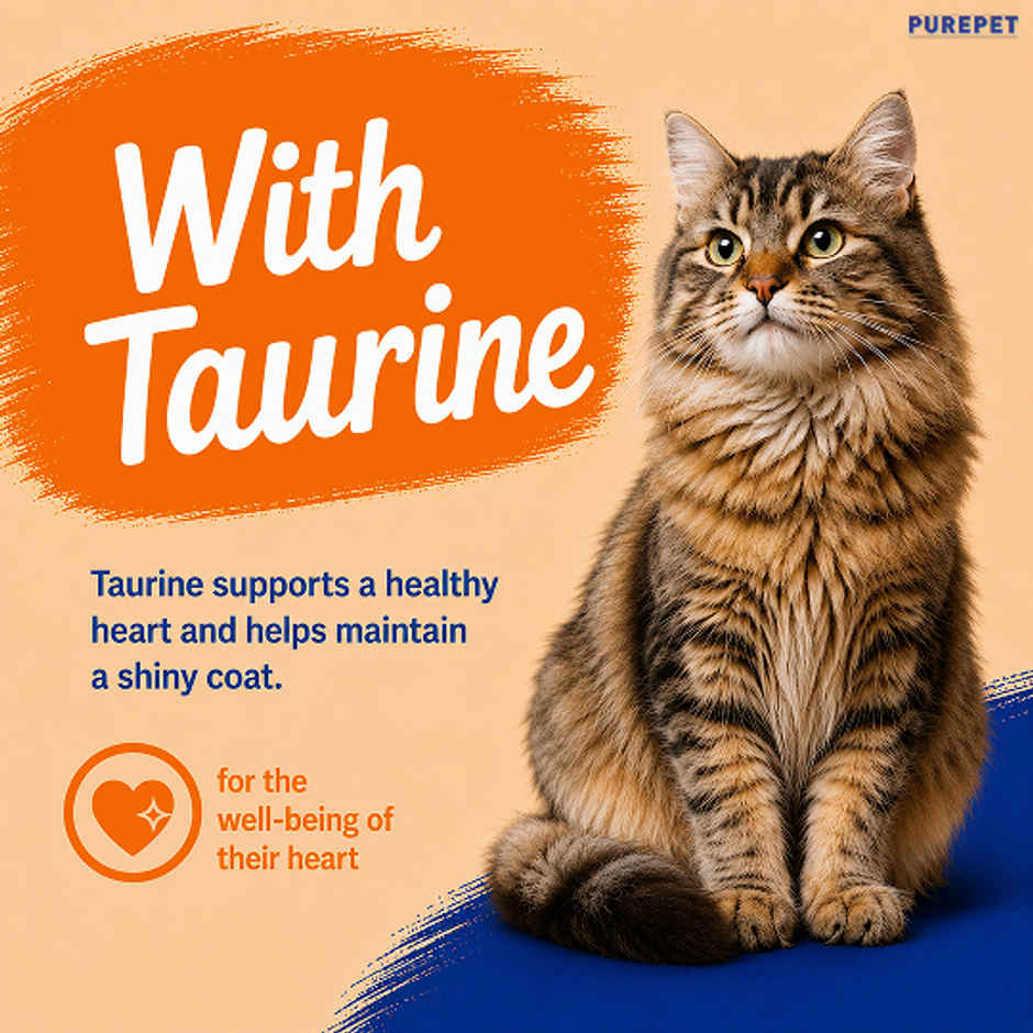 Purepet Real Chicken Creamy Lickable Cat Treats