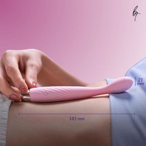 Beyond Touch Soulmate Full Body Massager