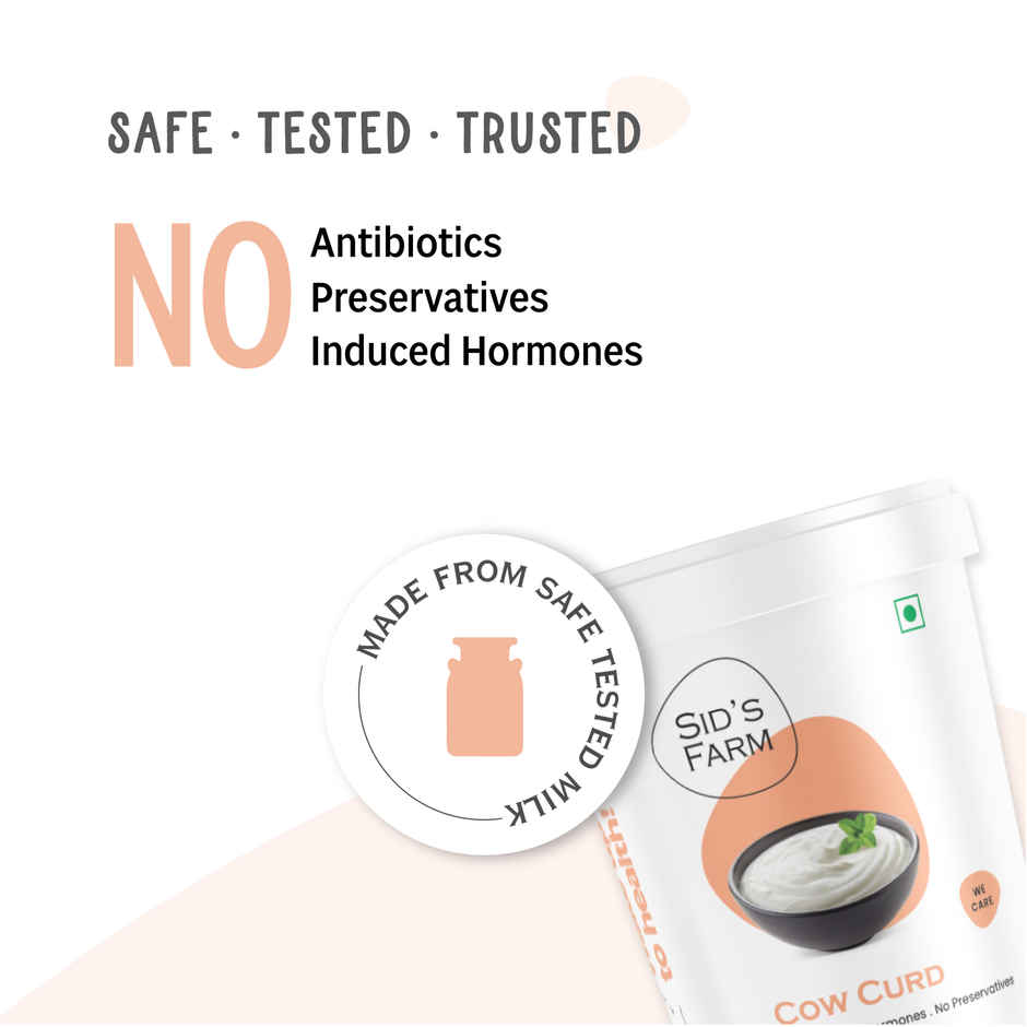 Sid's Farm Cow Curd - Made from Tested Milk (No Antibiotics . No Hormones . No Preservatives)
