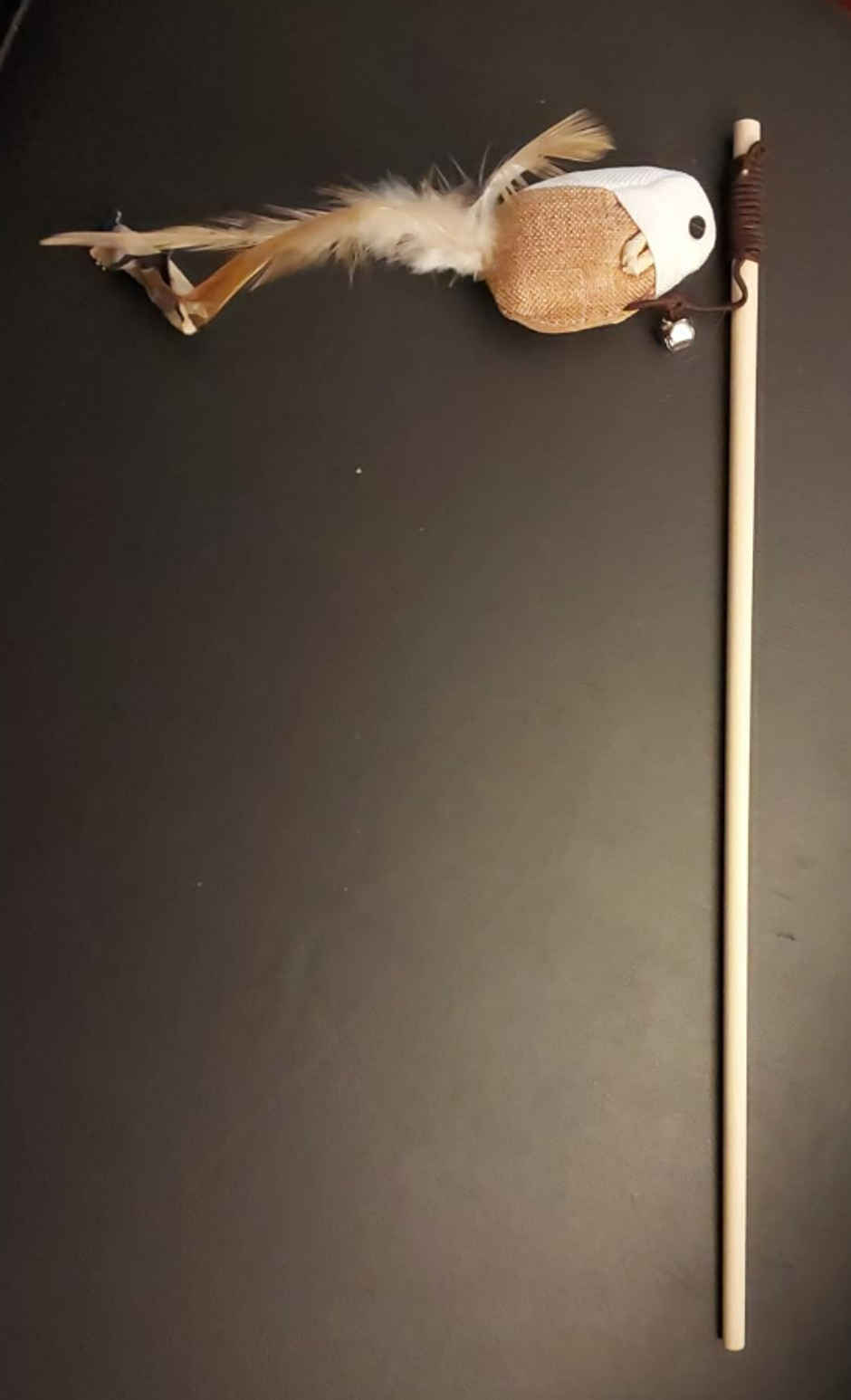 Bearhugs Cat Teaser Wand Pet Toy With Mouse