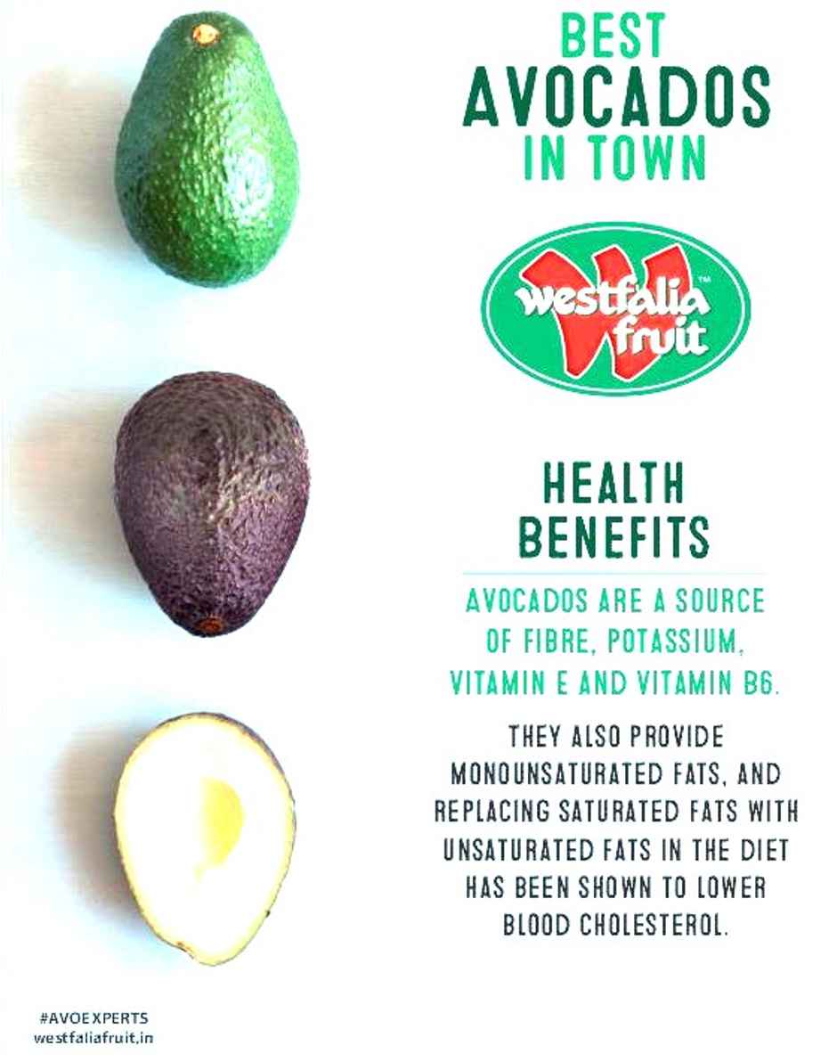 Westfalia Avocado Imported Semi Ripe