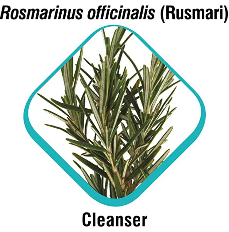 Himalaya Erina Plus Coat Cleanser With Conditioner