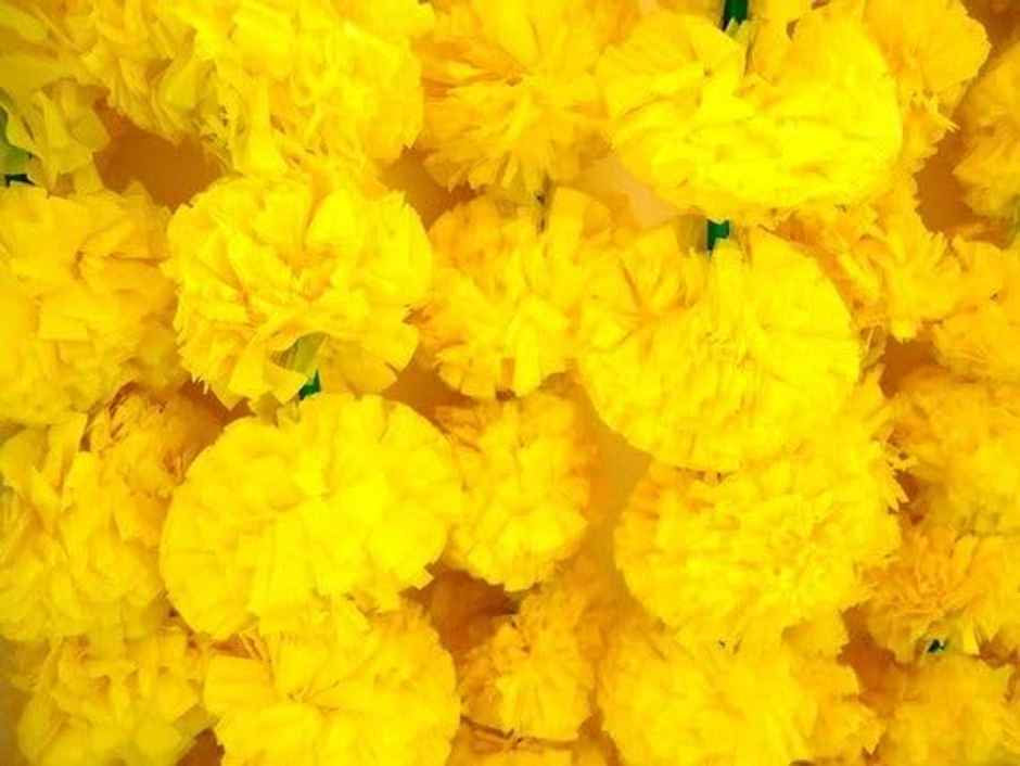 Artificial Marigold Fluffy Flowers Garlands For Decoration - Pack Of 5 Strings (Yellow)- 4.6Ft