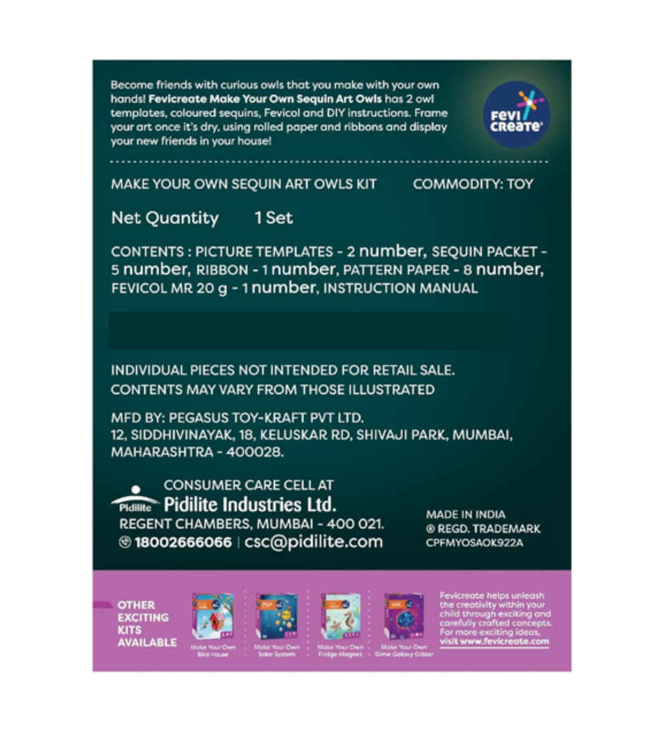 Fevicreate Sparkly Sequin Art Owl Craft Kit