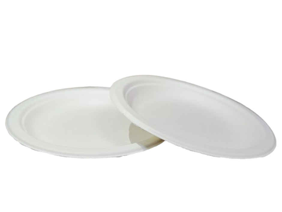 Disposable Round Plate | 6 inch | Pack of 25 | Antzco
