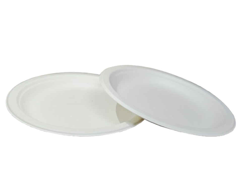 Bagasse Disposable Plate | 7 inch