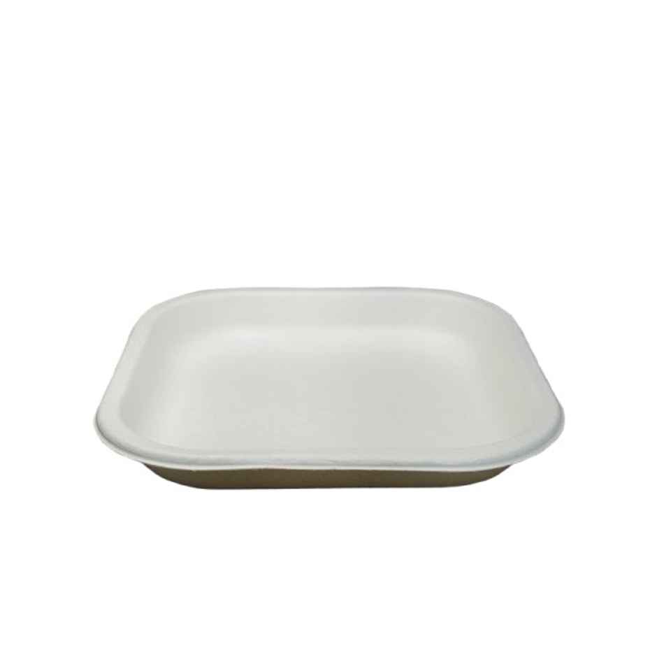 Disposable Square Plate | 6 inch | Pack of 25 | Sn Cd 5.5 | Antzco