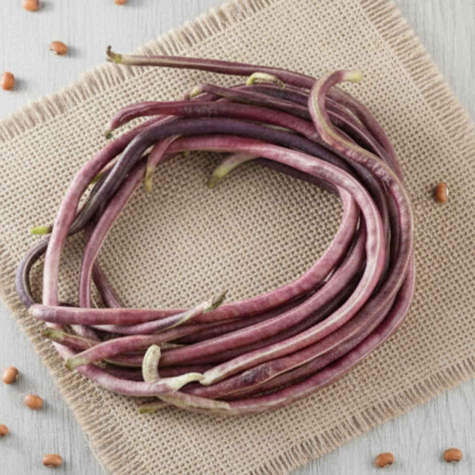 Beans Cowpea Red