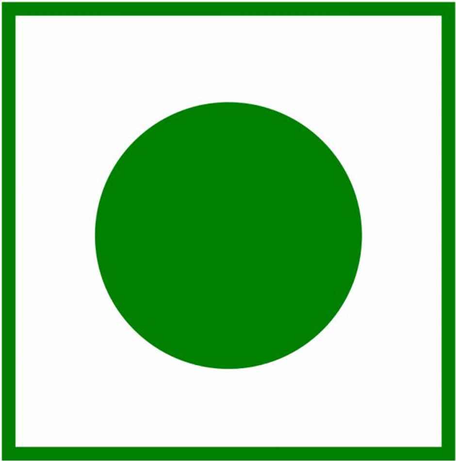 Bevzilla Gold Brew Freeze Dried Instant Smooth Rich Coffee Powder