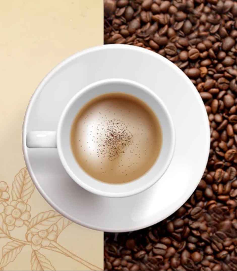 Leo TRUE Ultimate Absolutely Pure Instant Coffee Powder