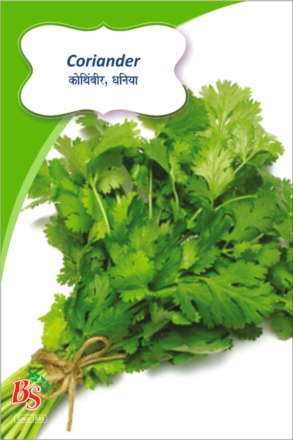 Coriander Seeds