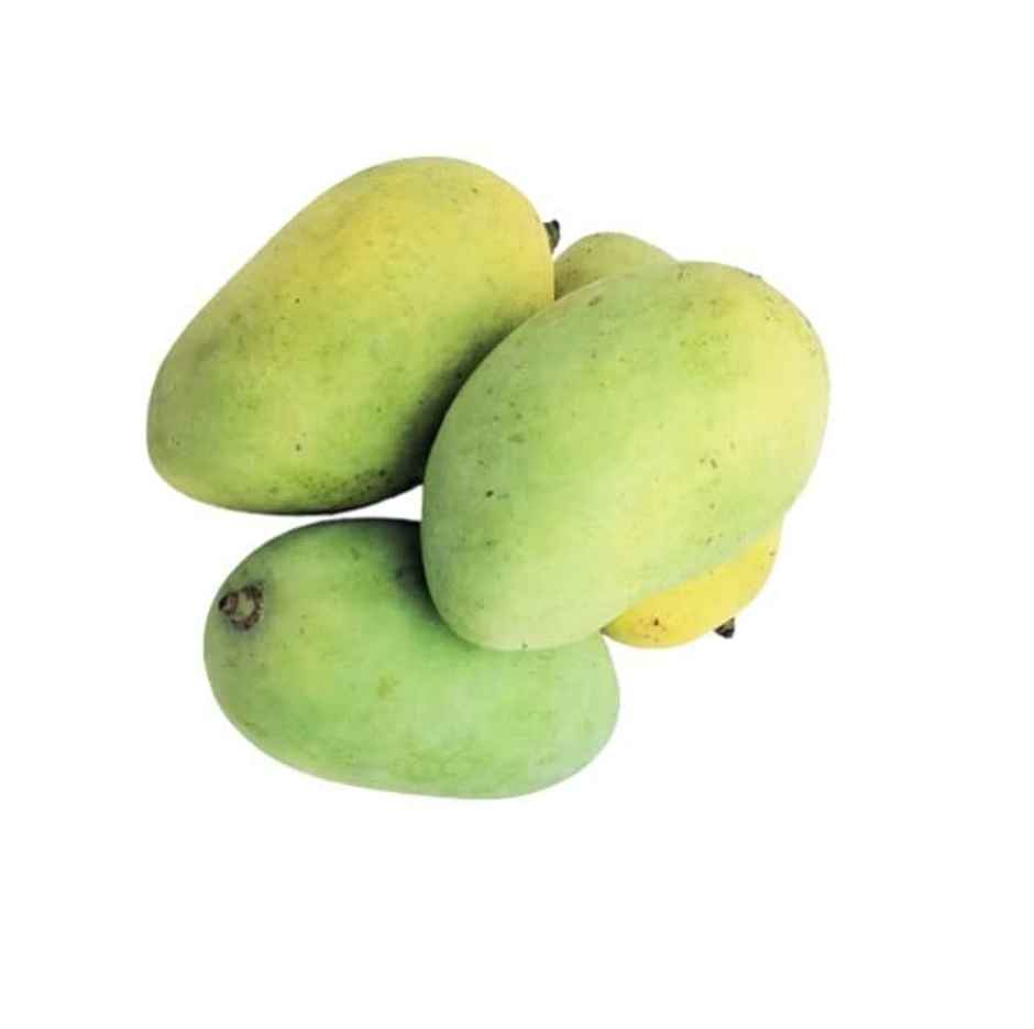 Super Plum Mango Chausa